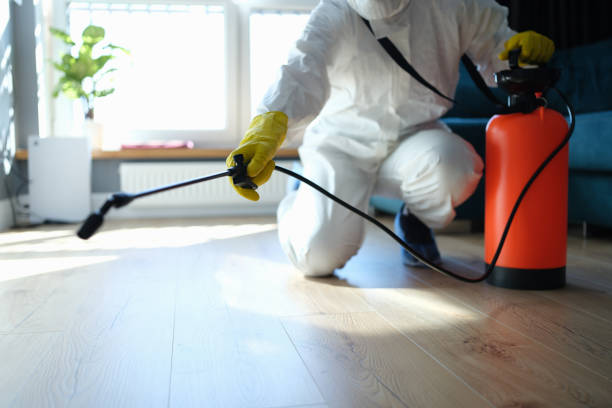 Reliable Hoarding Cleanup contractor in Weaverville, NC by Trauma Clean Pros